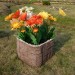 Цветник КАНЬОН купить в Усть-Лабинске